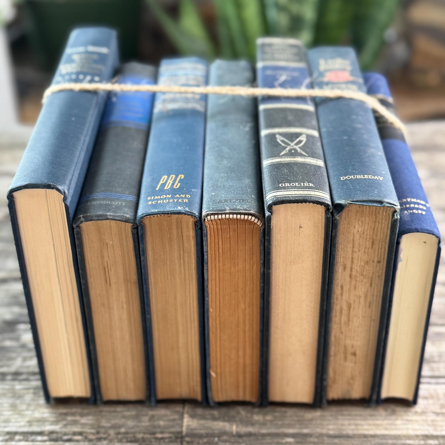 Navy Blue and Black Vintage Book Bundle For Shelf Styling