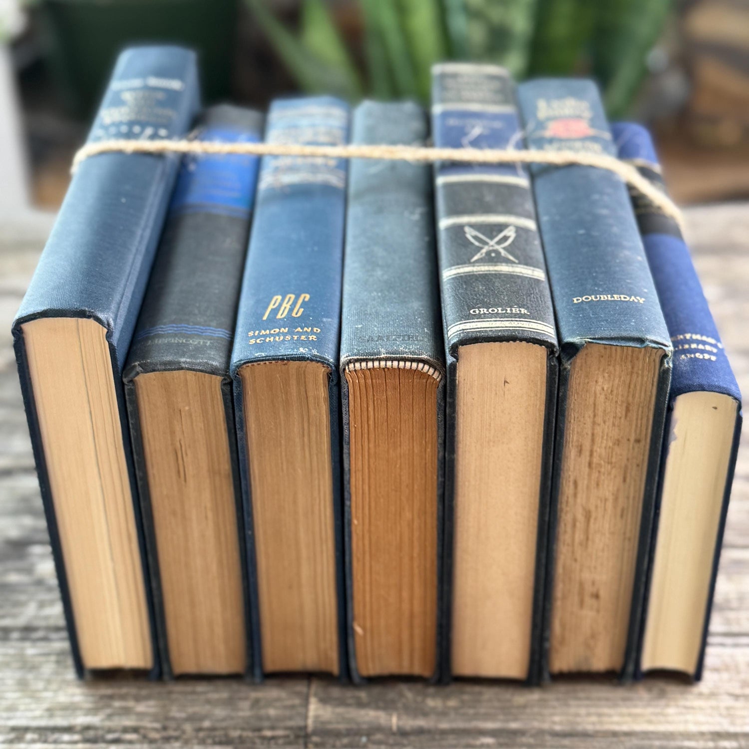 Navy Blue and Black Vintage Book Bundle For Shelf Styling