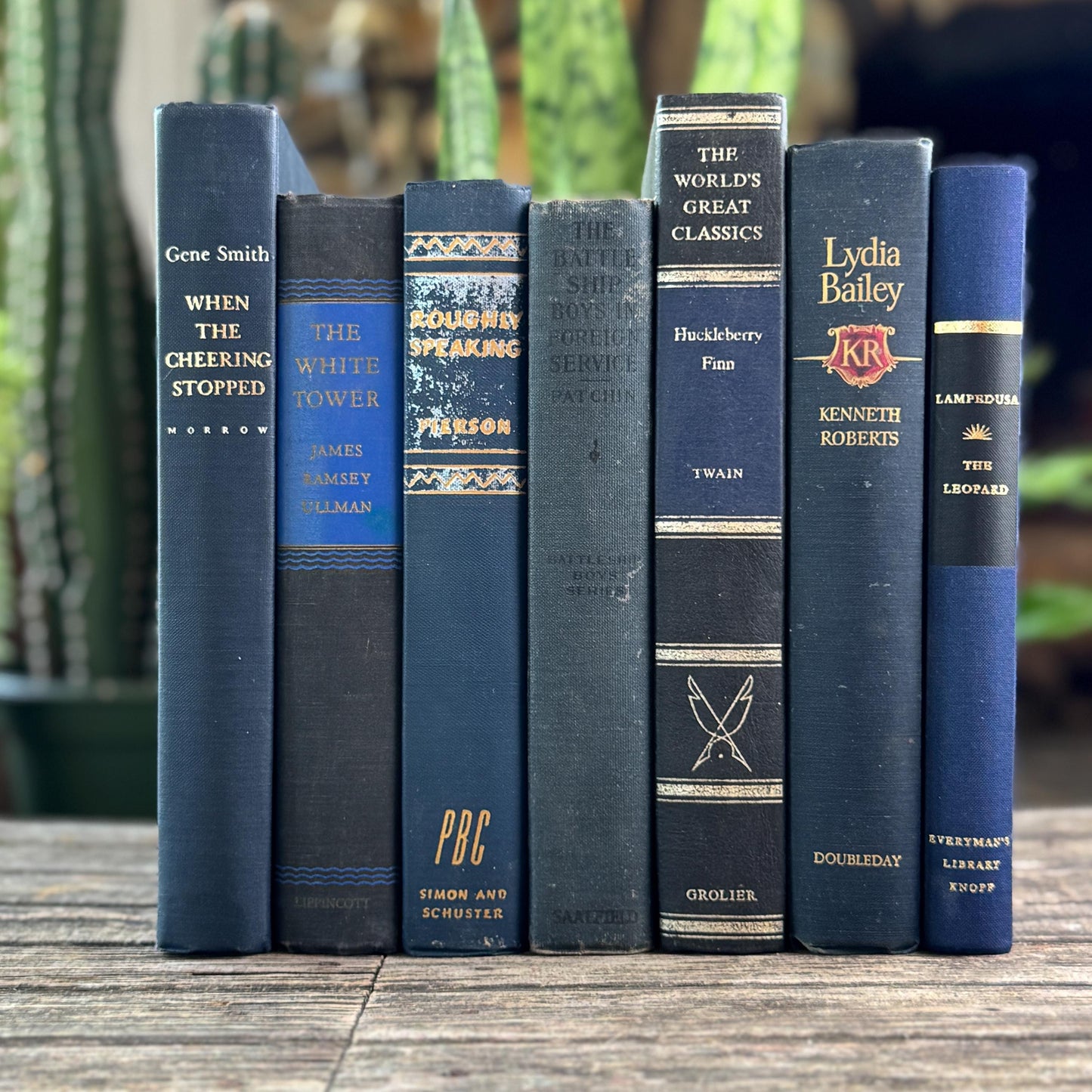 Navy Blue and Black Vintage Book Bundle For Shelf Styling