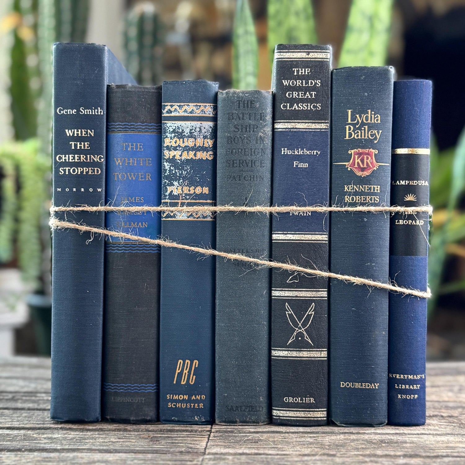 Navy Blue and Black Vintage Book Bundle For Shelf Styling