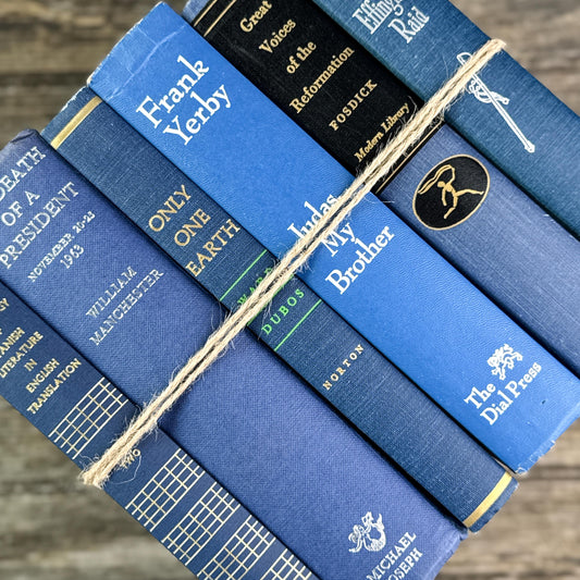 Vintage Bold Indigo Blue Book Set for Shelf Styling