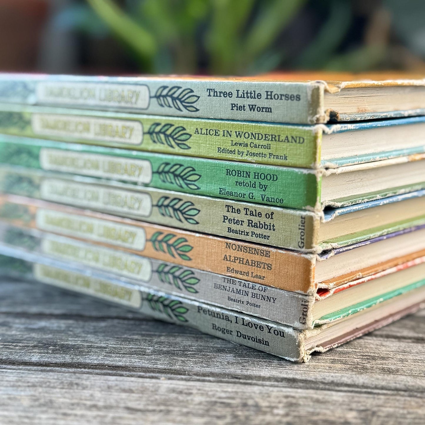 Cozy Tan Orange Green Yellow Dandelion Library Children's Book Set for Decor