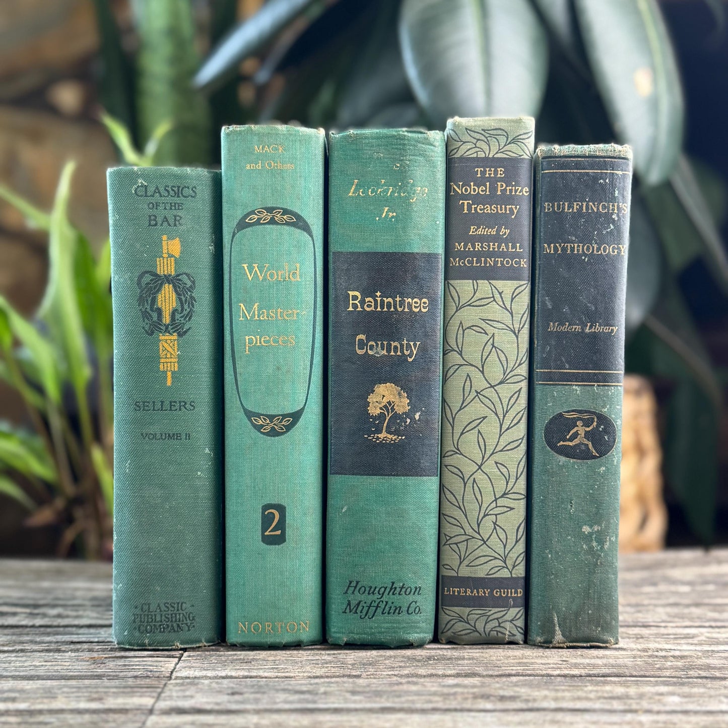 Green and Black Vintage Book Bundle for Mid Century Shelf Styling