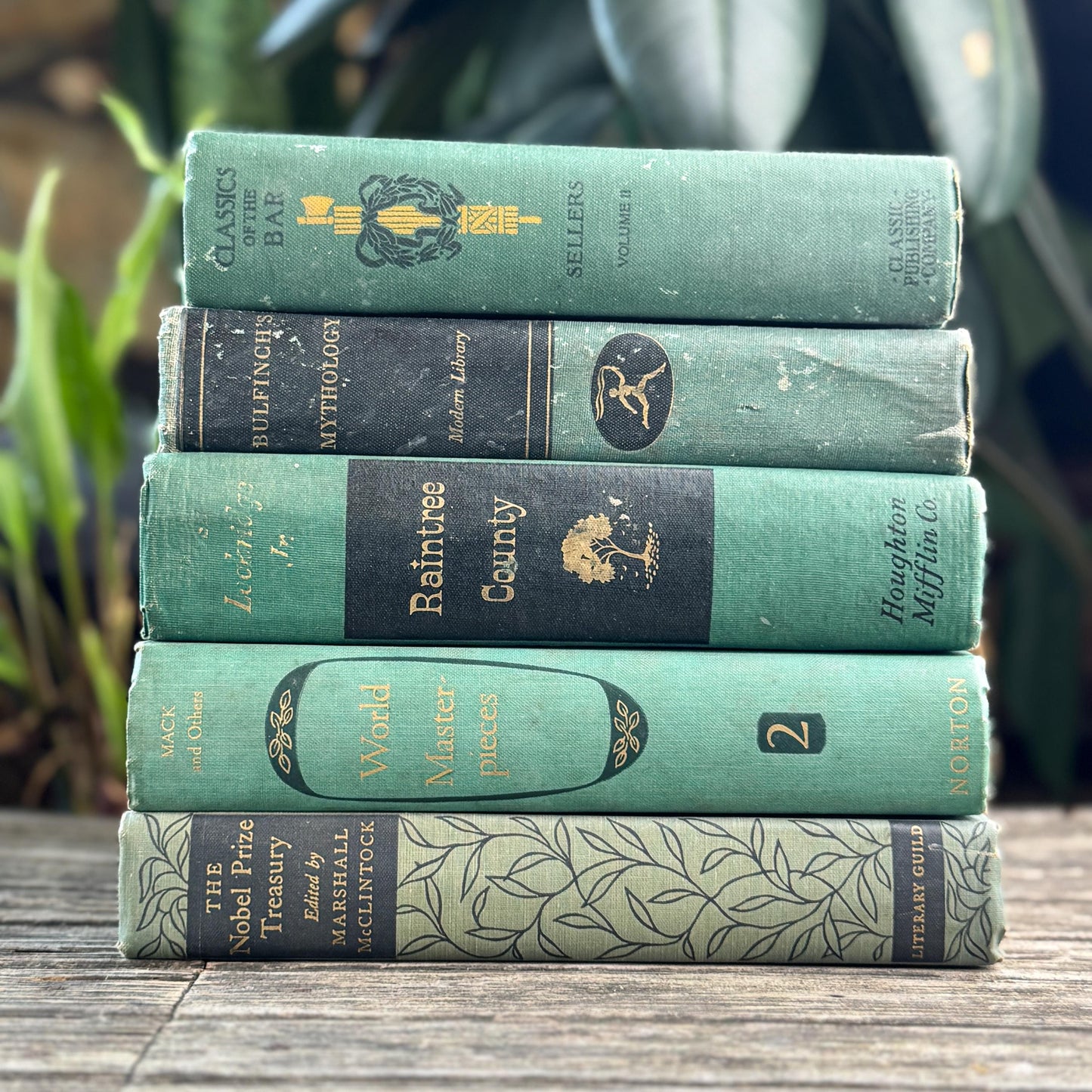 Green and Black Vintage Book Bundle for Mid Century Shelf Styling