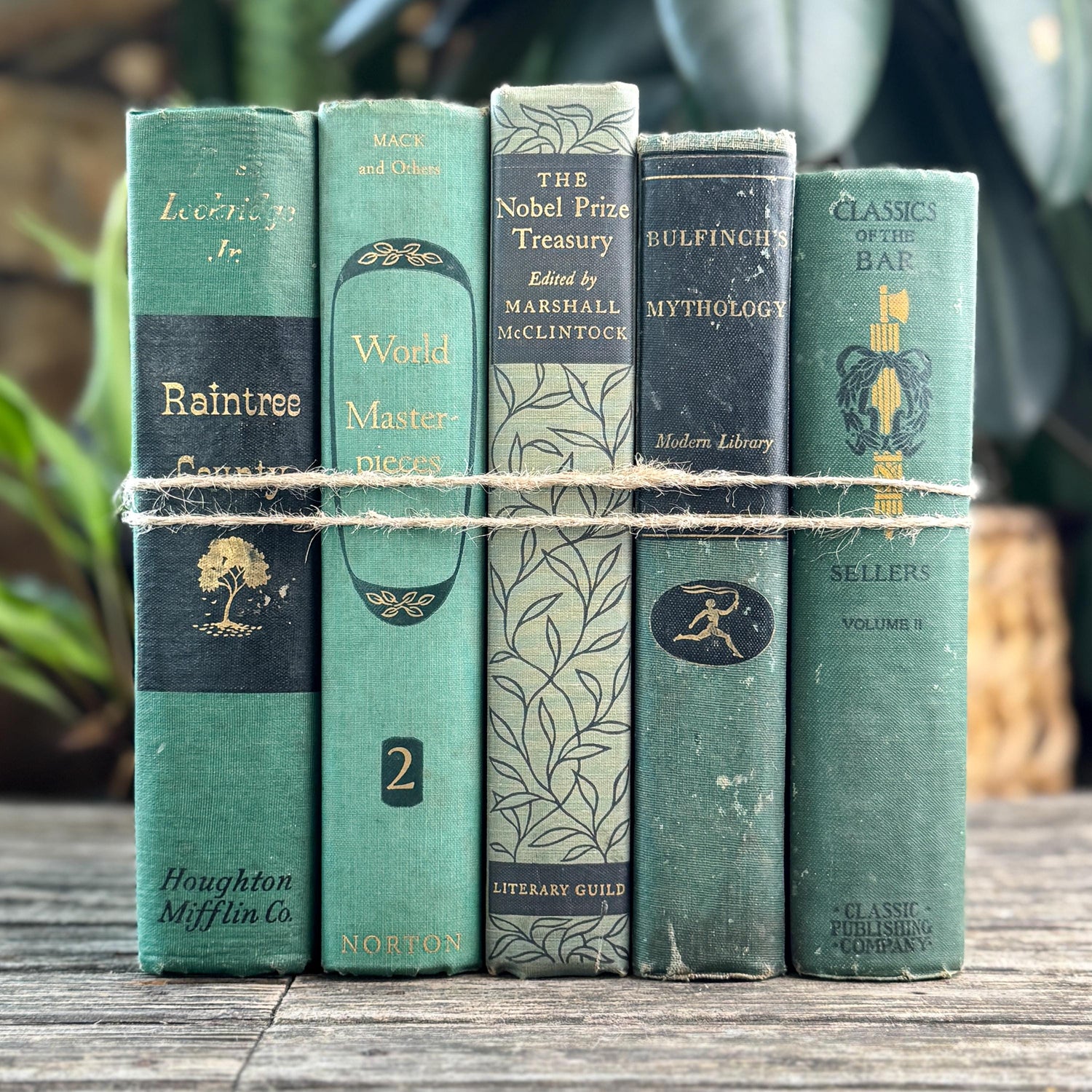 Green and Black Vintage Book Bundle for Mid Century Shelf Styling
