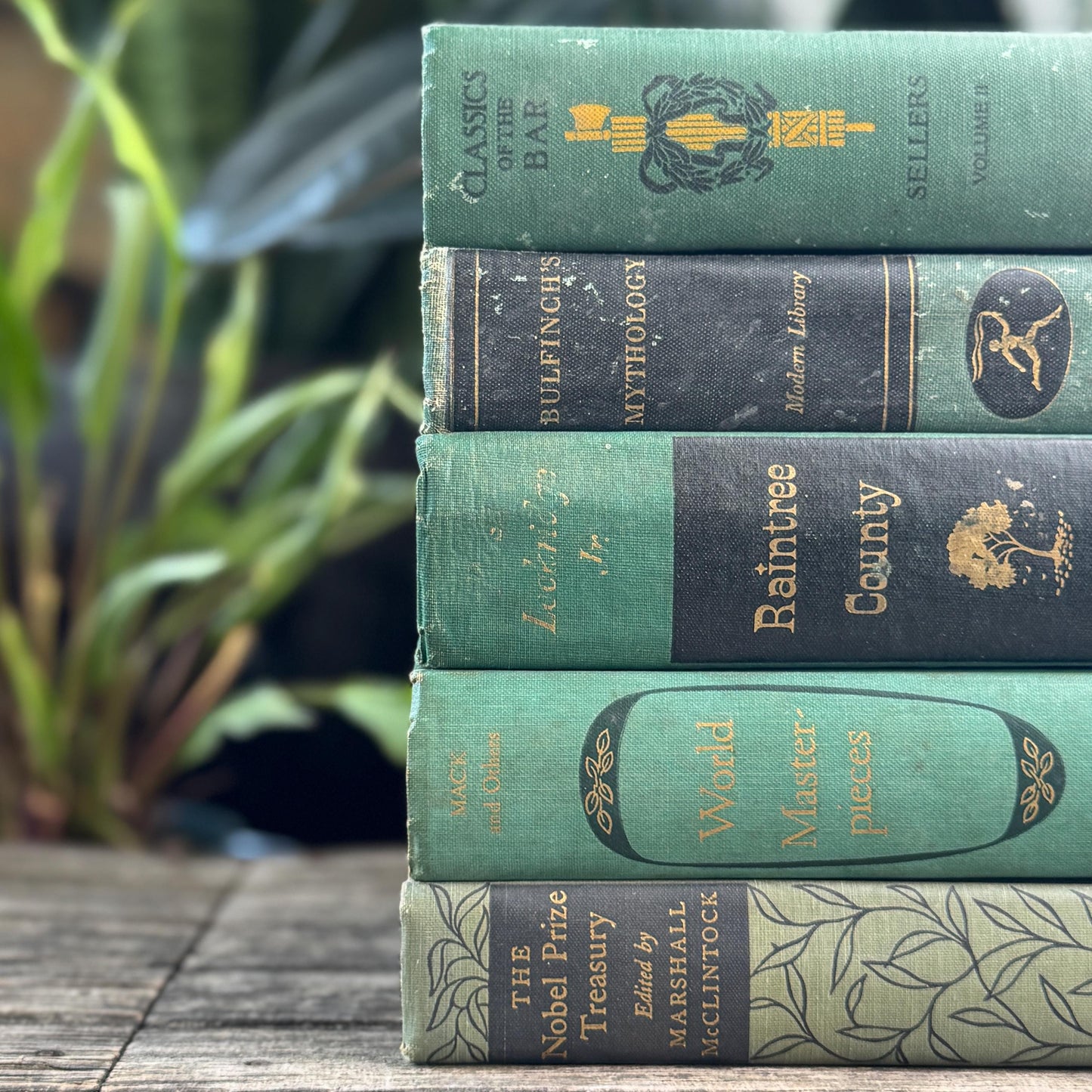 Green and Black Vintage Book Bundle for Mid Century Shelf Styling