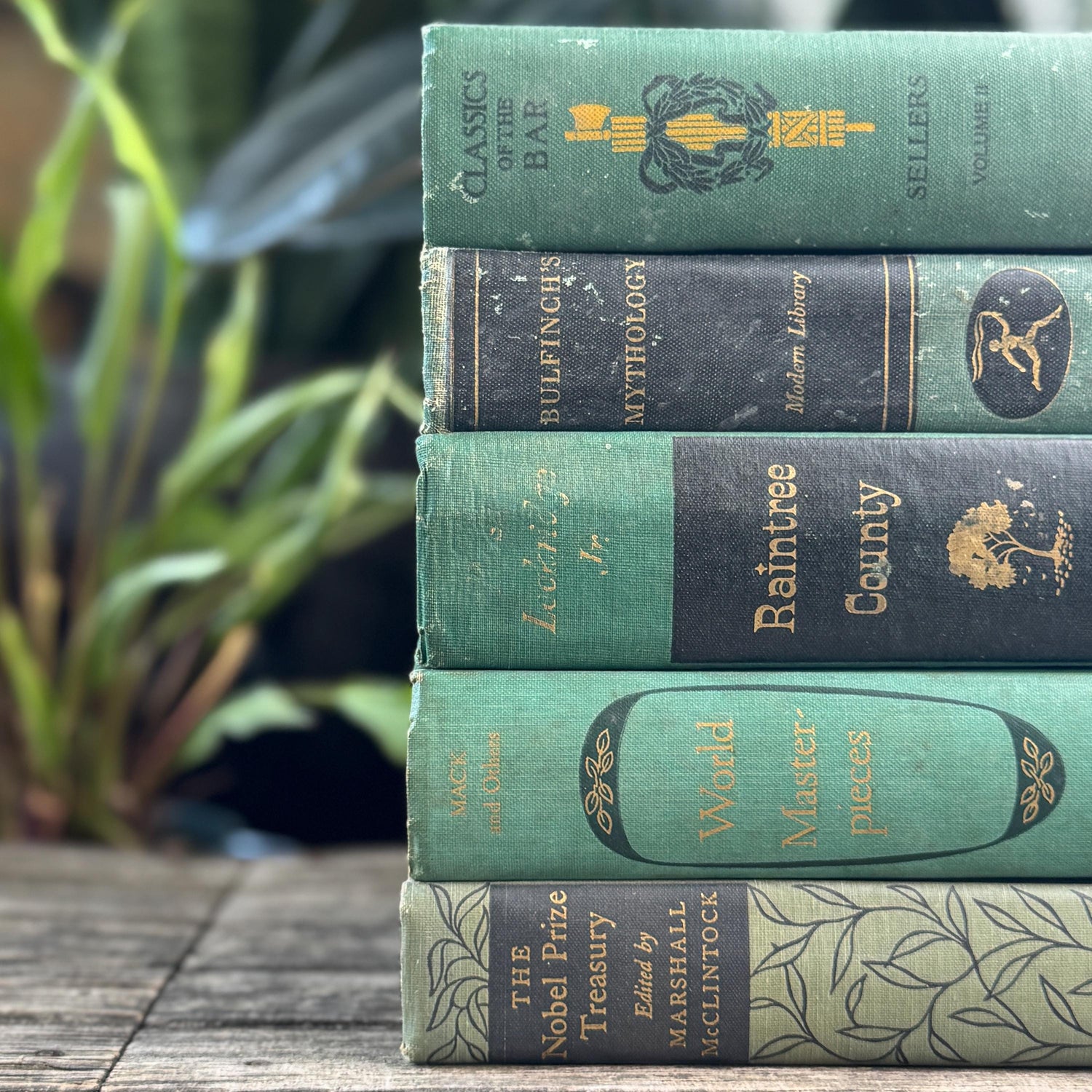 Green and Black Vintage Book Bundle for Mid Century Shelf Styling