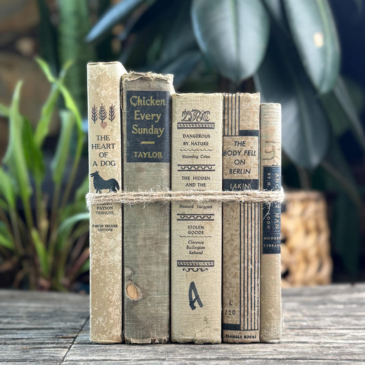 Neutral Gray, Beige and Black Book Bundle for Cozy Shelf Styling