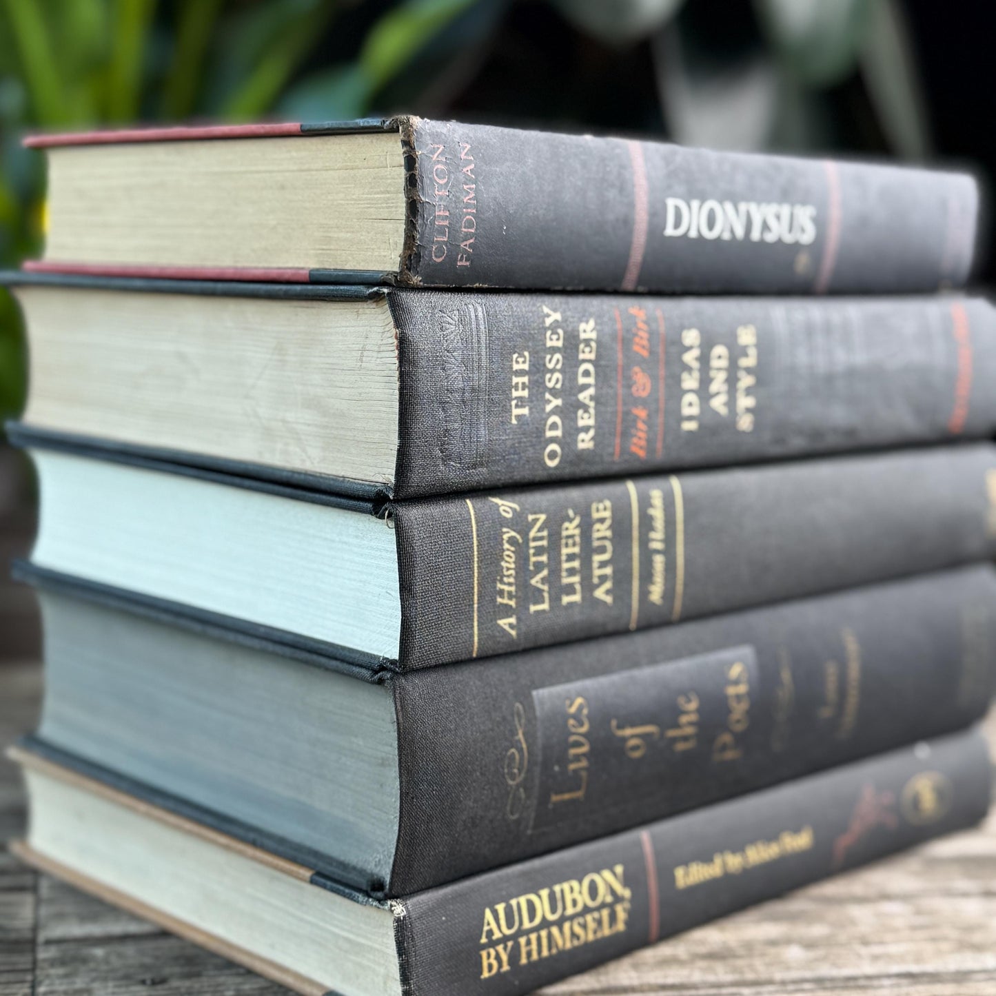 Vintage Charcoal & Black Mid Century Curated Book Bundle for Shelf Styling