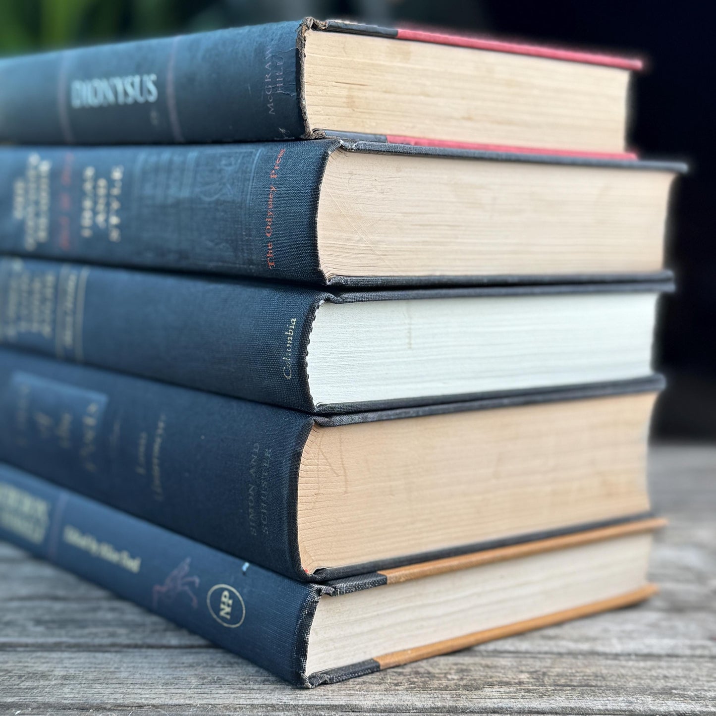Vintage Charcoal & Black Mid Century Curated Book Bundle for Shelf Styling