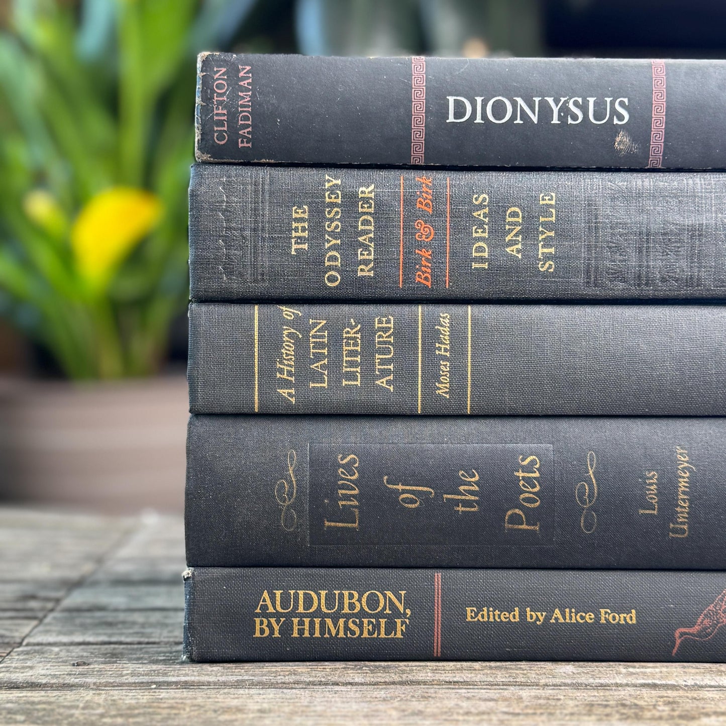 Vintage Charcoal & Black Mid Century Curated Book Bundle for Shelf Styling
