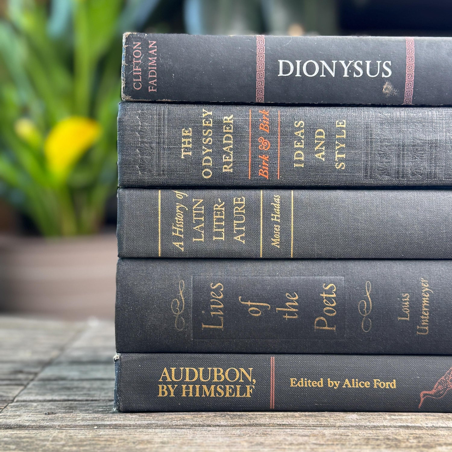 Vintage Charcoal & Black Mid Century Curated Book Bundle for Shelf Styling