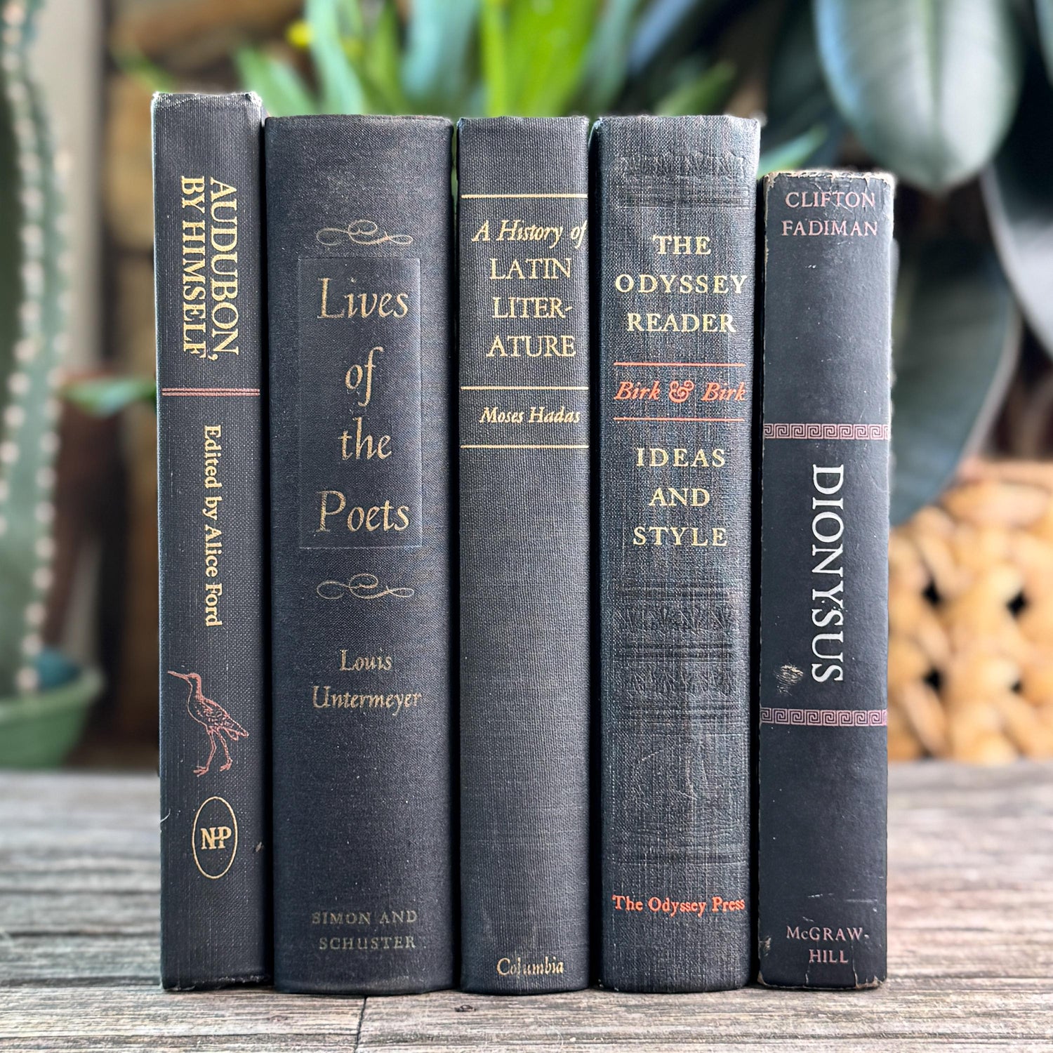 Vintage Charcoal & Black Mid Century Curated Book Bundle for Shelf Styling