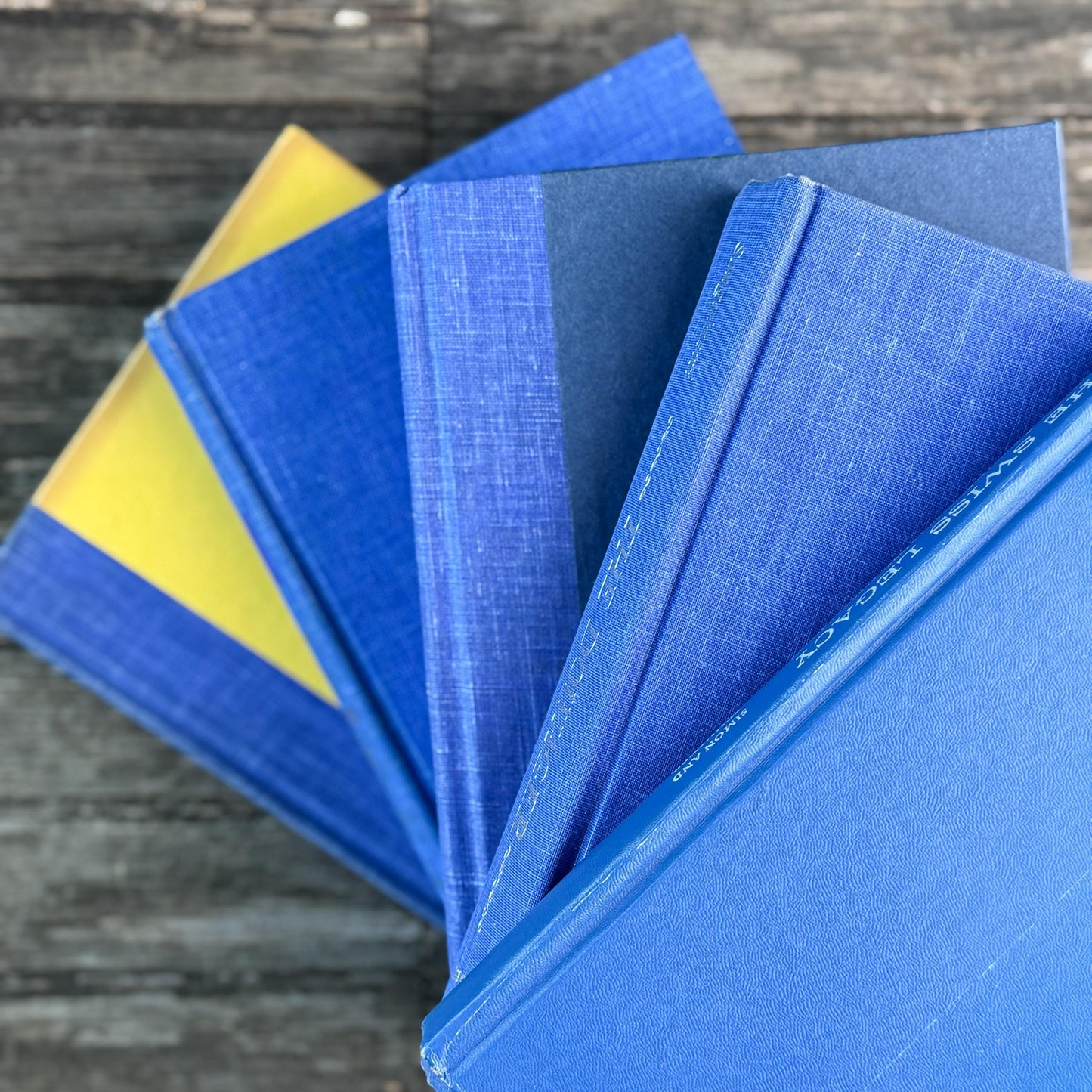 Vintage Indigo and Royal Blue Book Set for Bold Shelf Styling