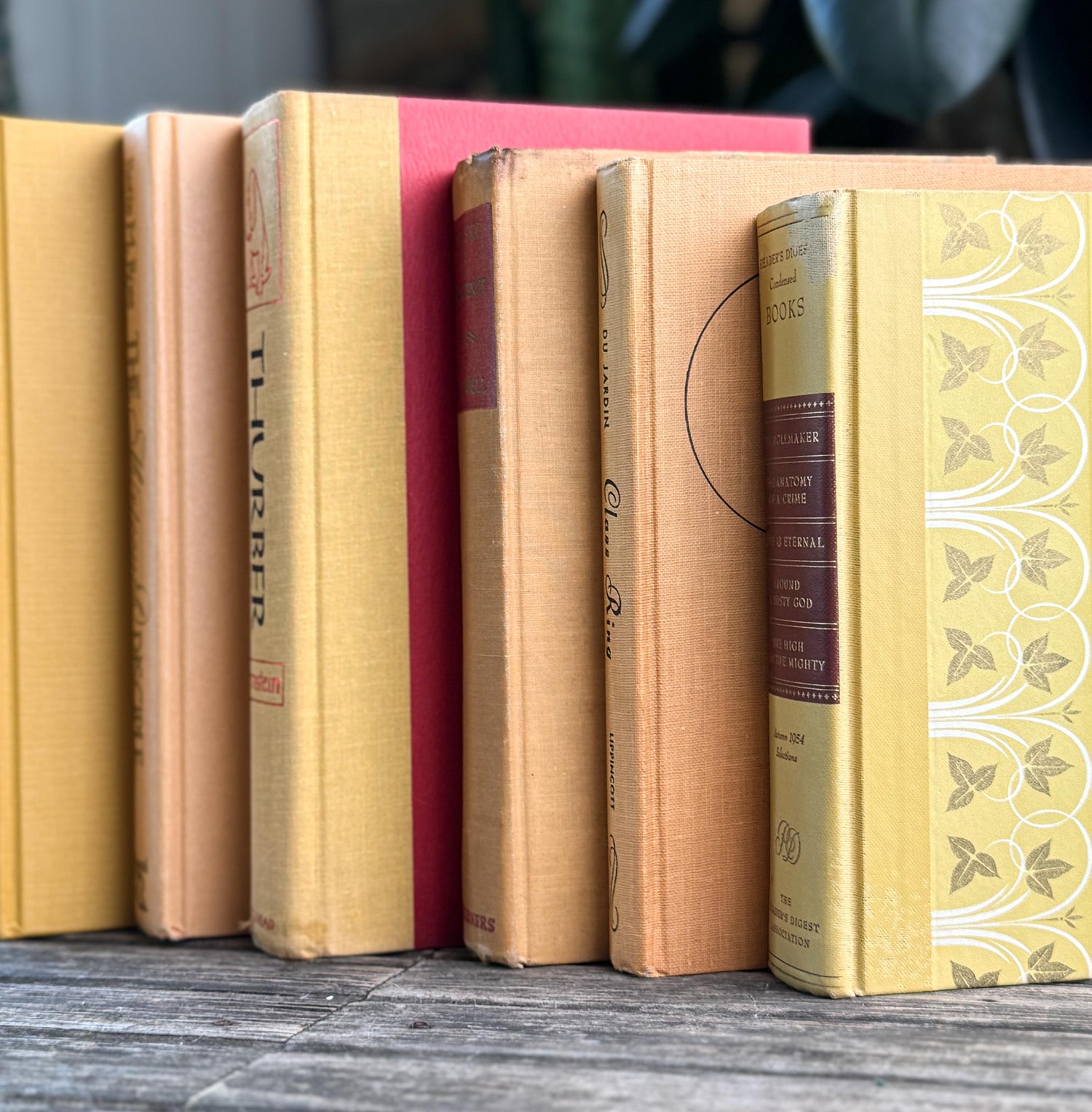 Vintage Mid Century Book Bundle in Warm Yellow, Peach & Tan, and Red