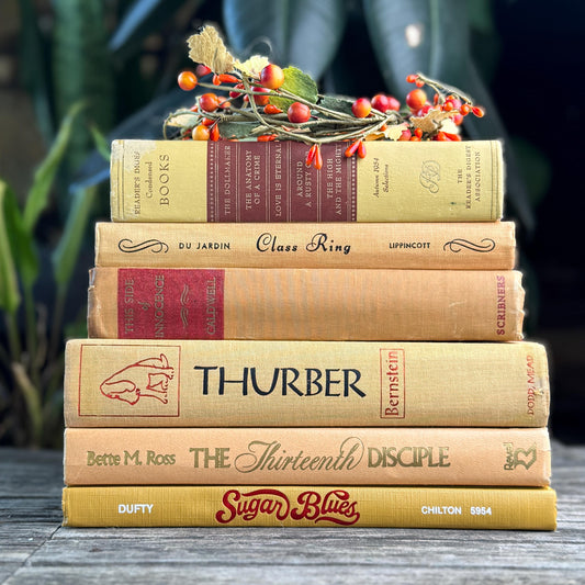 Vintage Mid Century Book Bundle in Warm Yellow, Peach & Tan, and Red