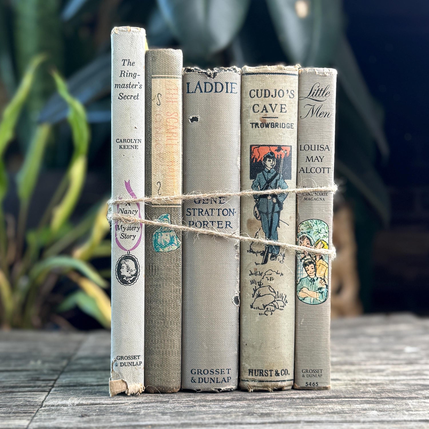 Shabby Gray Vintage Children's Book Bundle for Shelf Styling