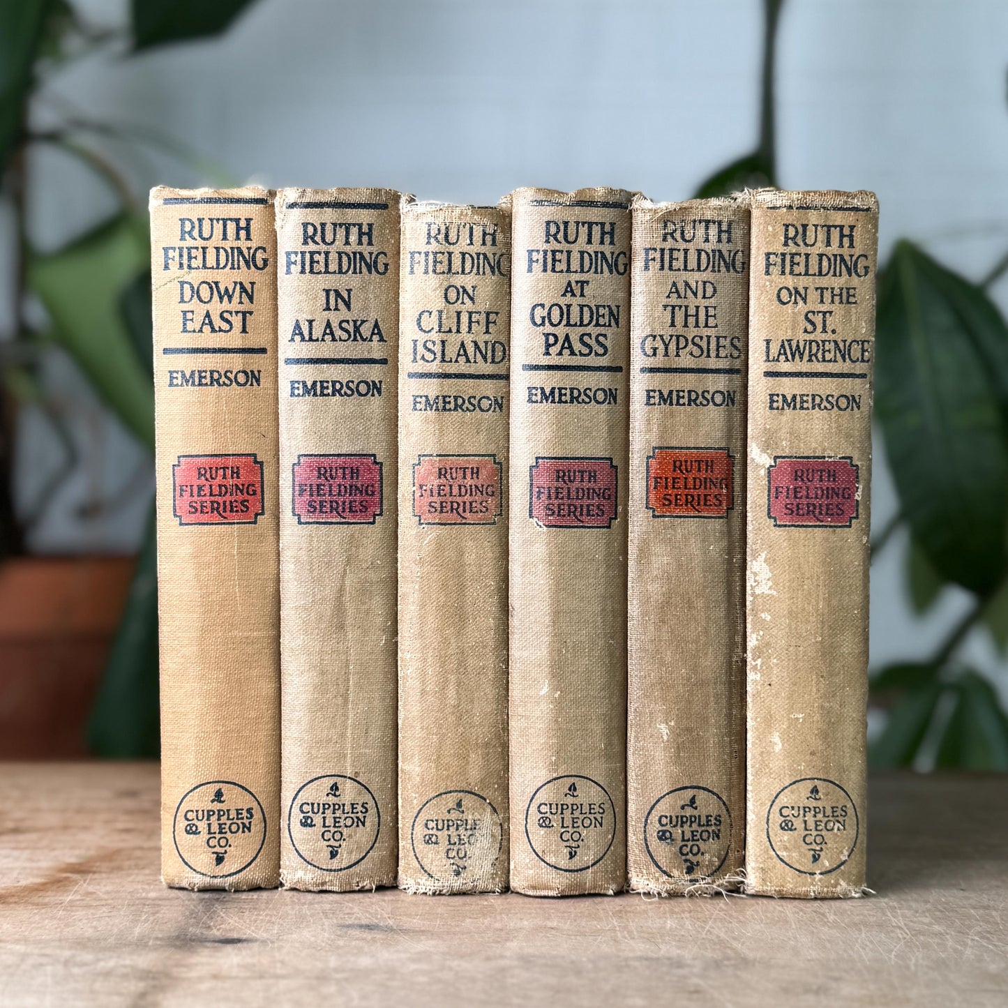Antique 1920s Shabby Ruth Fielding Books for Girls