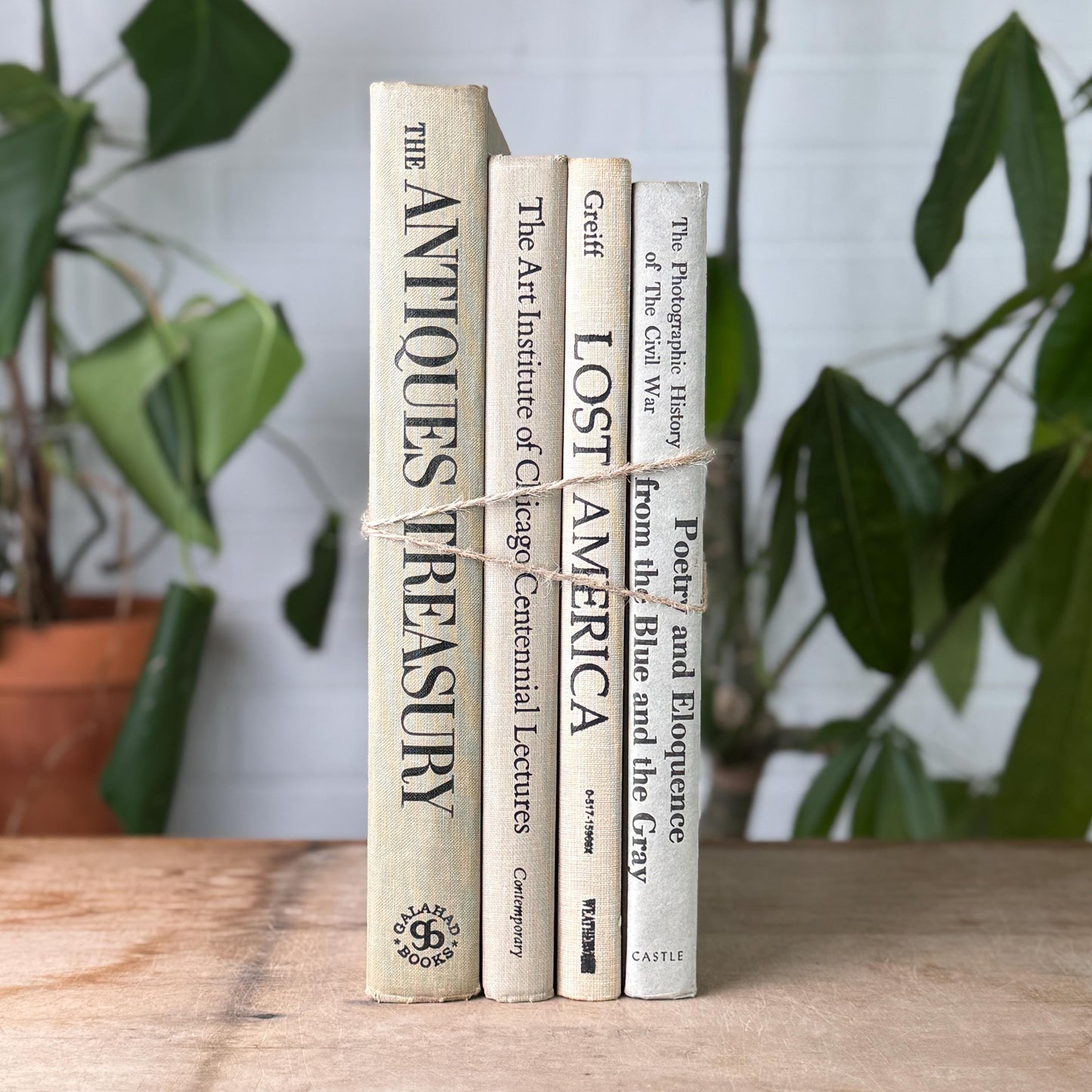 Vintage Neutral Linen Book Stack: History, Art, Antiques