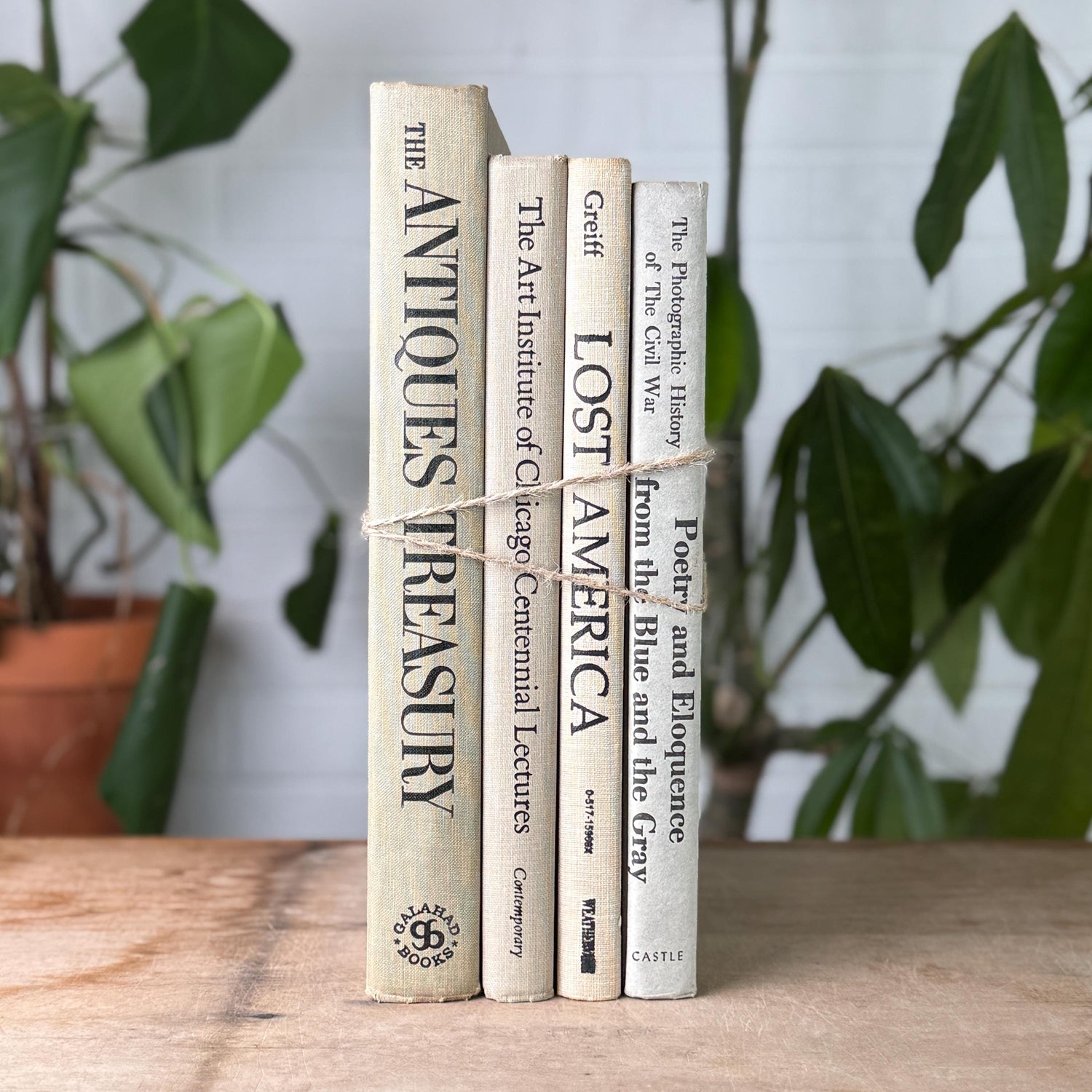 Vintage Neutral Linen Book Stack: History, Art, Antiques
