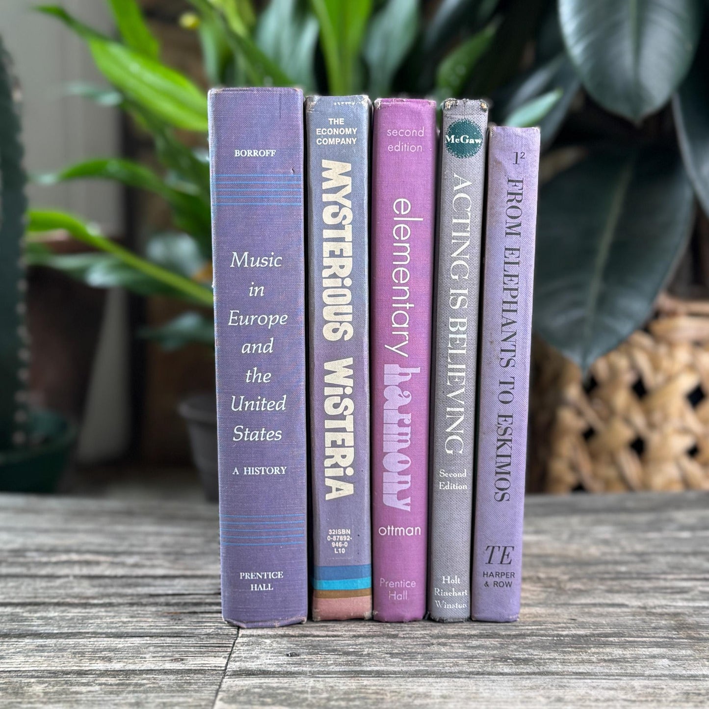 Vintage Retro Purple Textbook Bubndle