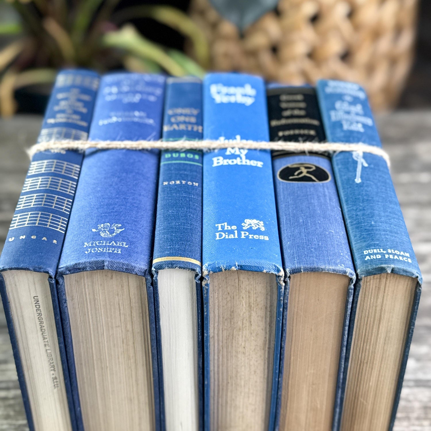 Vintage Bold Indigo Blue Book Set for Shelf Styling