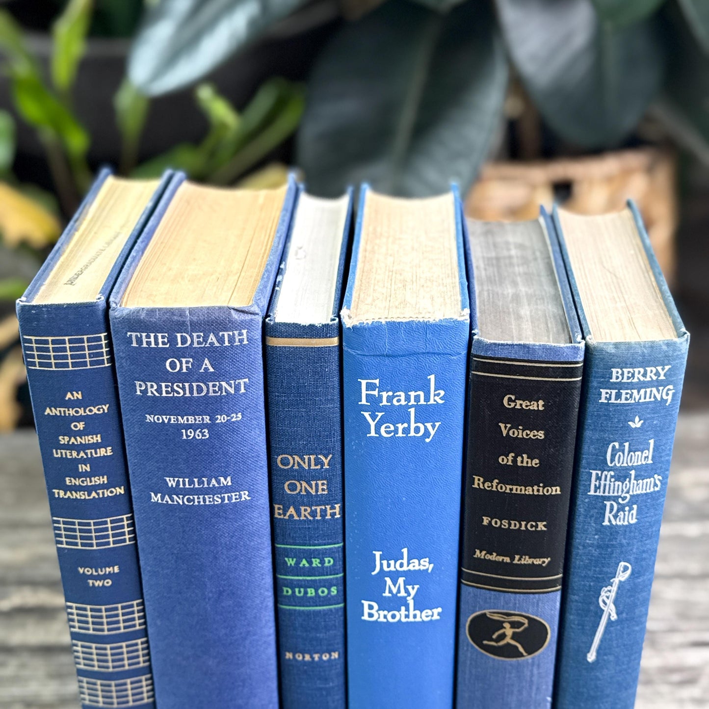 Vintage Bold Indigo Blue Book Set for Shelf Styling