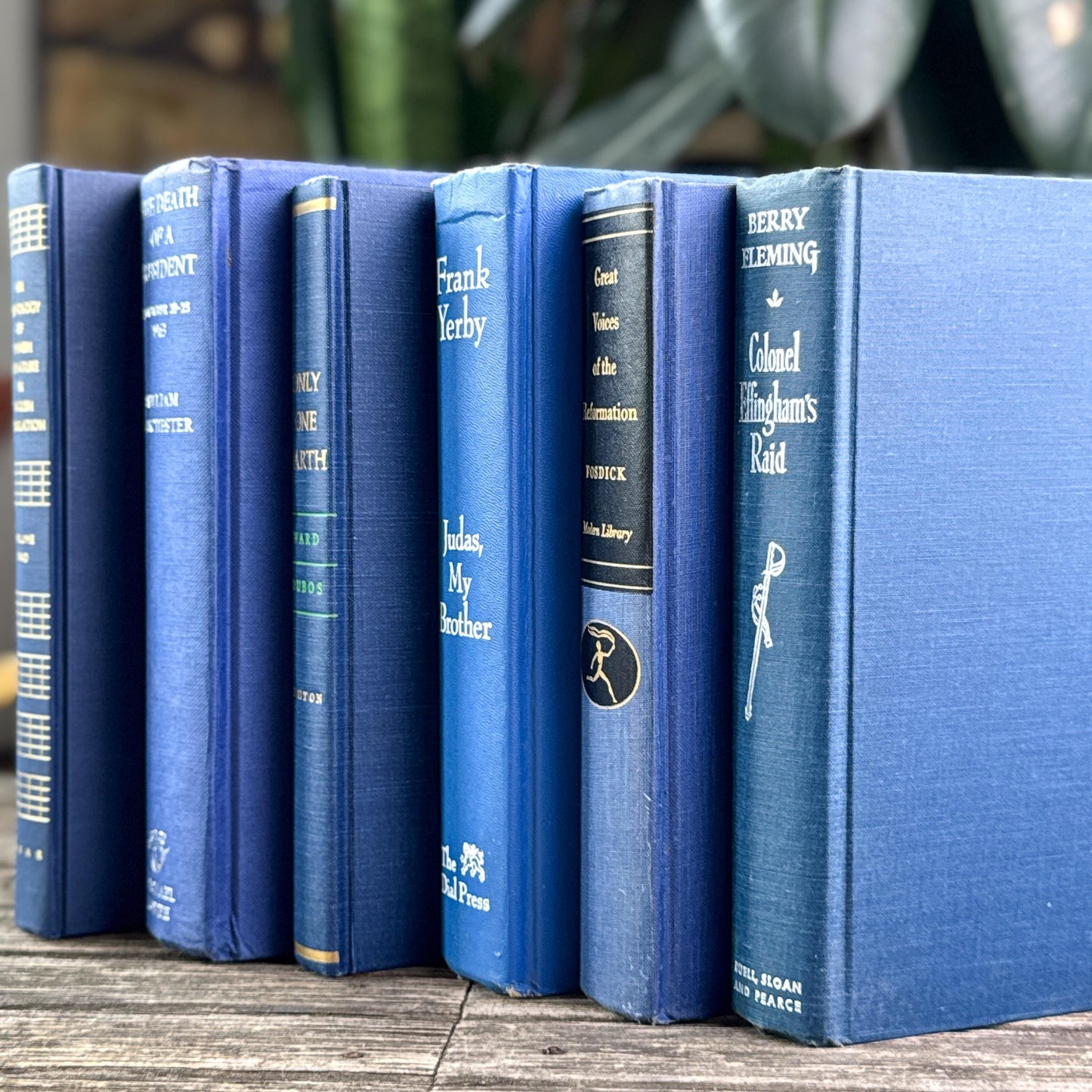 Vintage Bold Indigo Blue Book Set for Shelf Styling