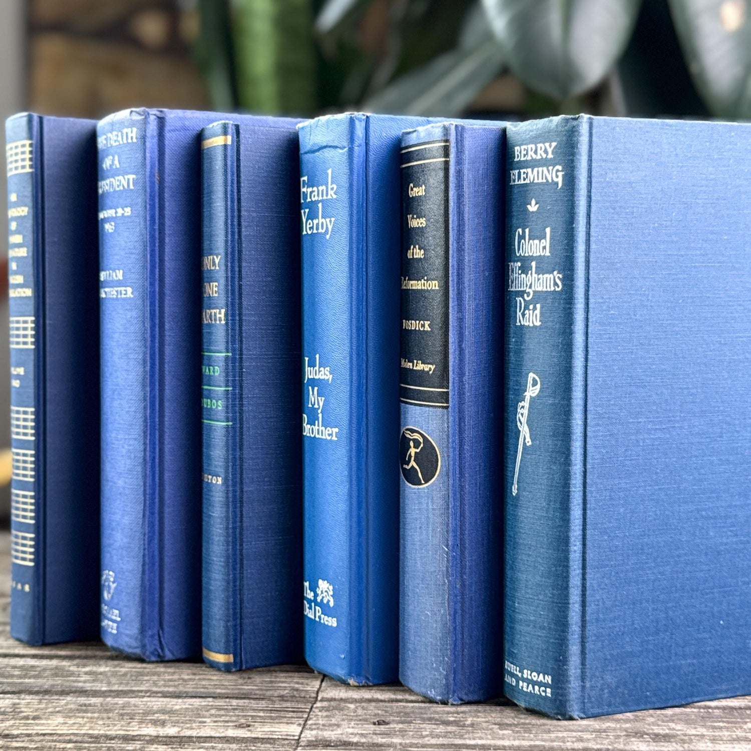 Vintage Bold Indigo Blue Book Set for Shelf Styling