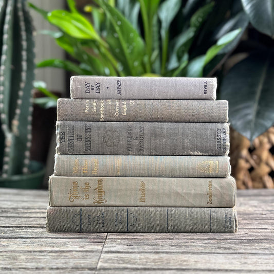 Soft Cozy Neutral Gray Books for Shelf Styling