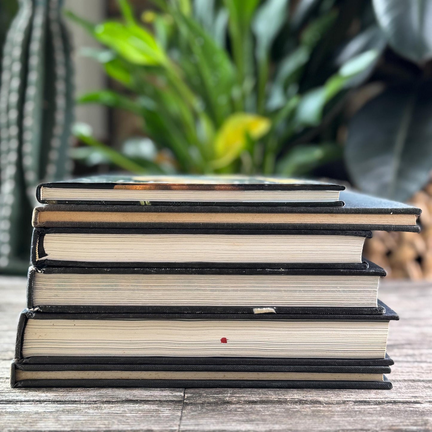 Black Vintage Coffee Table Books for Styling