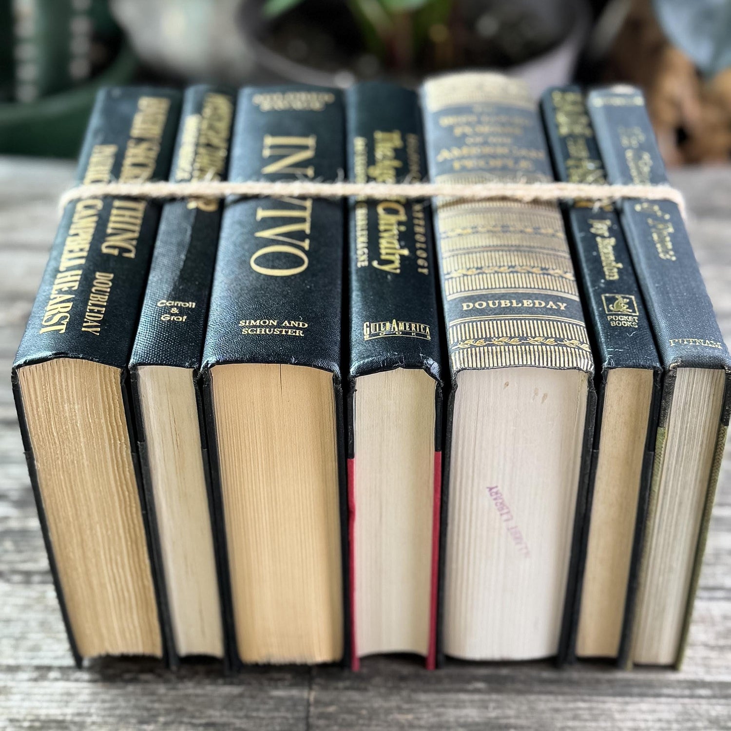 Black and Gold Vintage Book Set for Dark Academia Shelf Styling