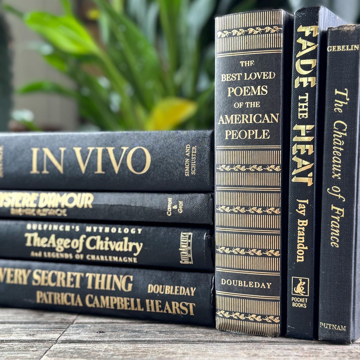 Black and Gold Vintage Book Set for Dark Academia Shelf Styling