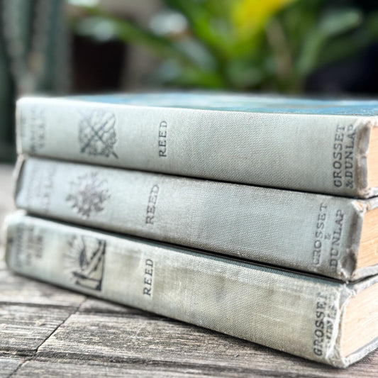 Antique Blue Books Set, Myrtle Reed Hardcover Collection (1902-1904)