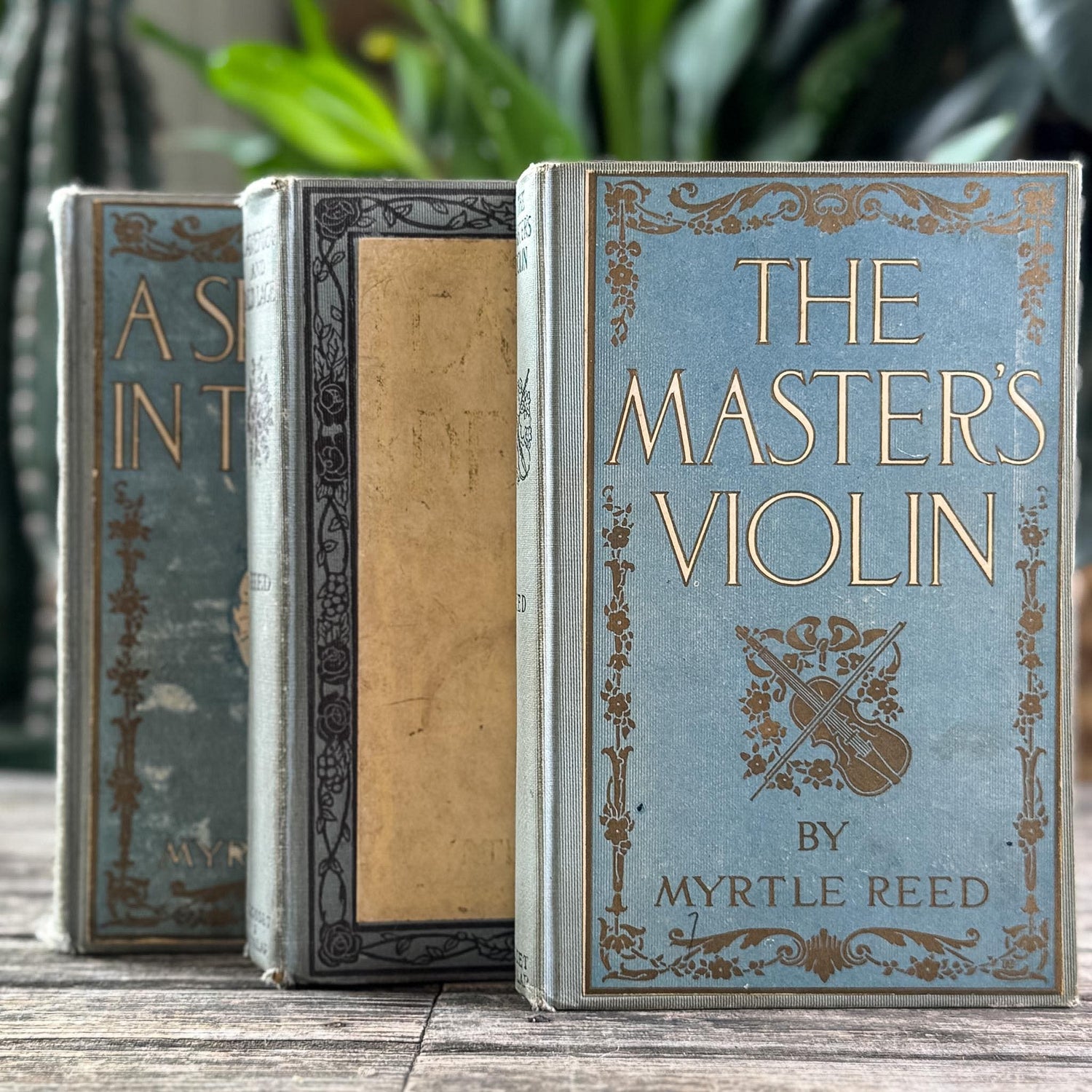 Antique Blue Books Set, Myrtle Reed Hardcover Collection (1902-1904)