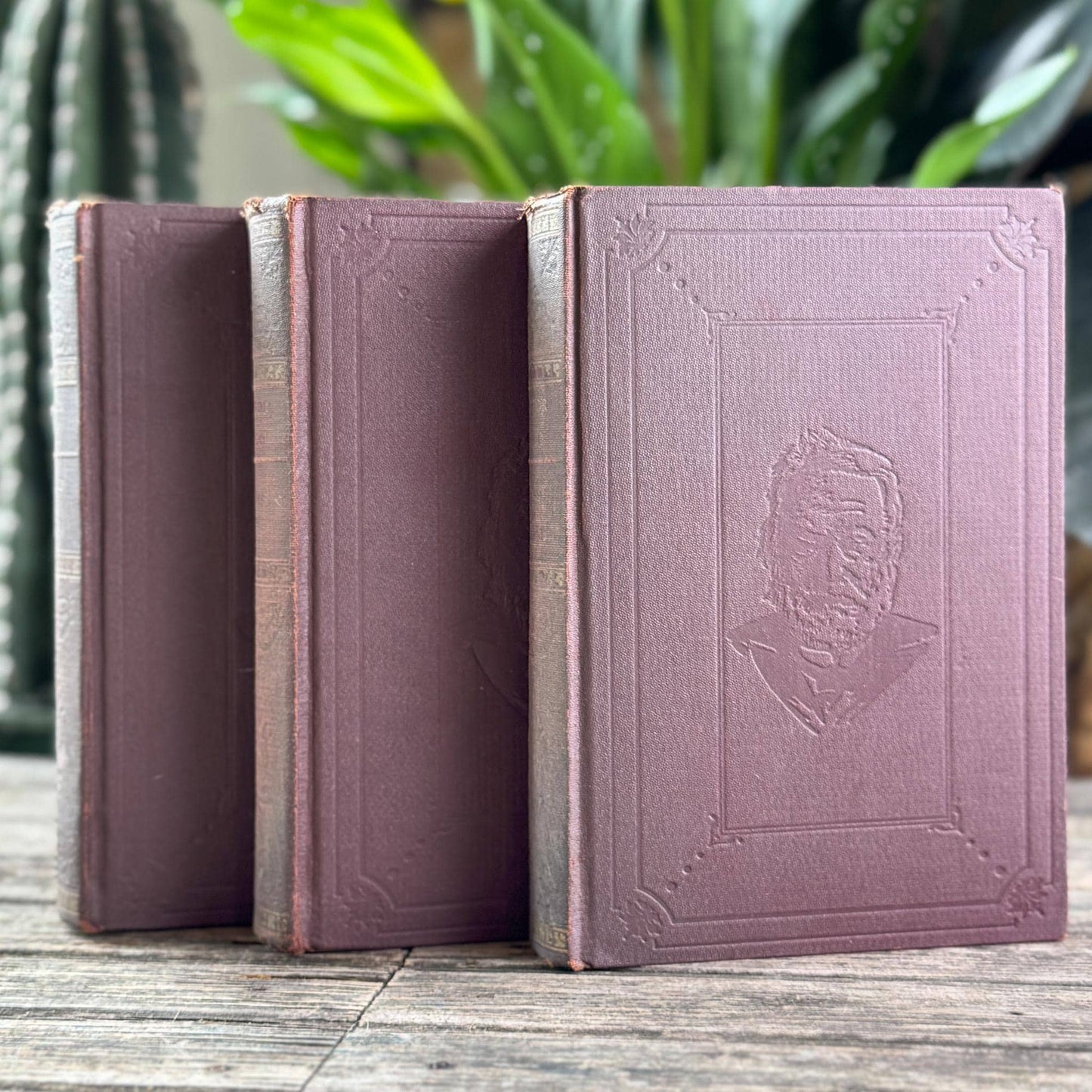 Ornate Antique Novels of Victor Hugo, Faded Mauve Book Bundle for Styling
