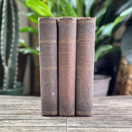 Ornate Antique Novels of Victor Hugo, Faded Mauve Book Bundle for Styling