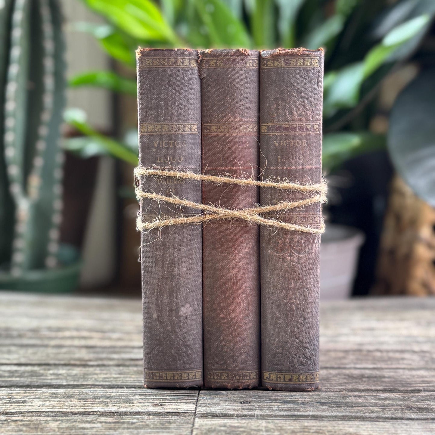 Ornate Antique Novels of Victor Hugo, Faded Mauve Book Bundle for Styling