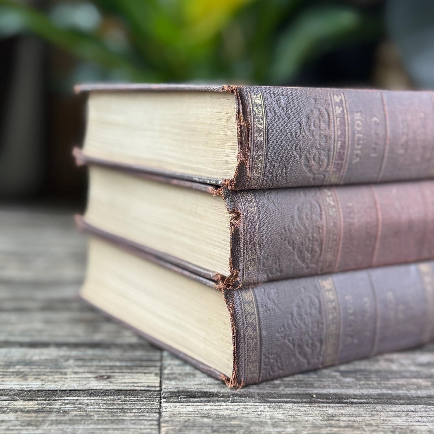 Ornate Antique Novels of Victor Hugo, Faded Mauve Book Bundle for Styling
