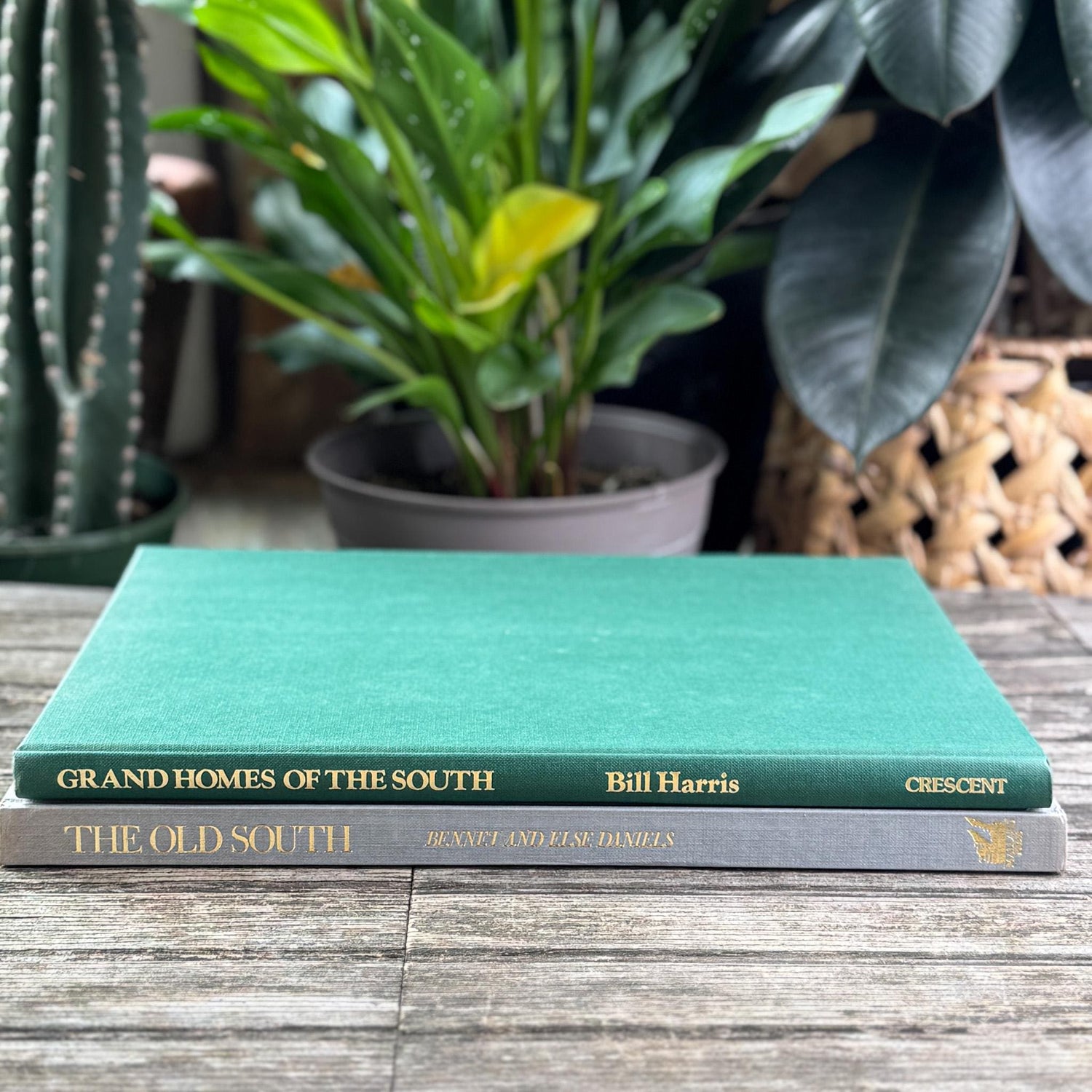 Set of 2 Vintage Old South House and Architecture Books
