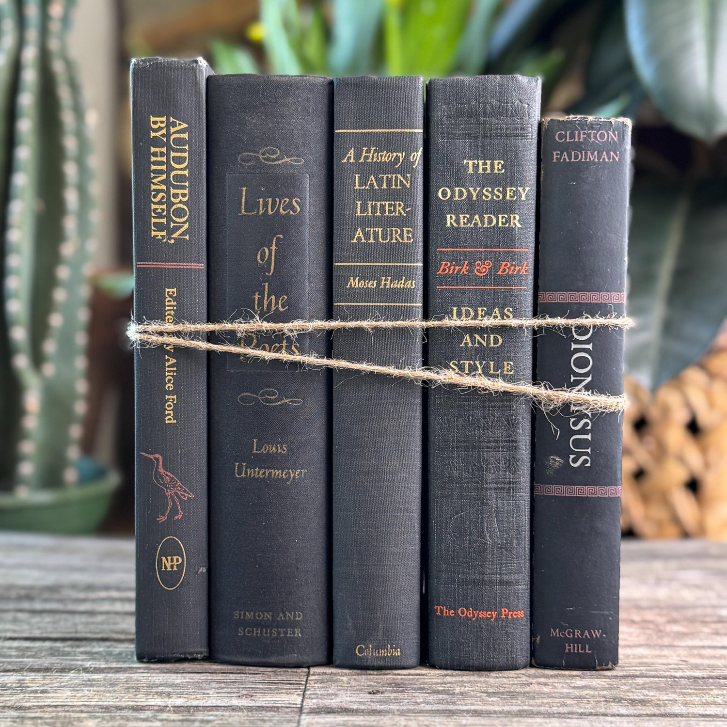 Vintage Charcoal & Black Mid Century Curated Book Bundle for Shelf Styling