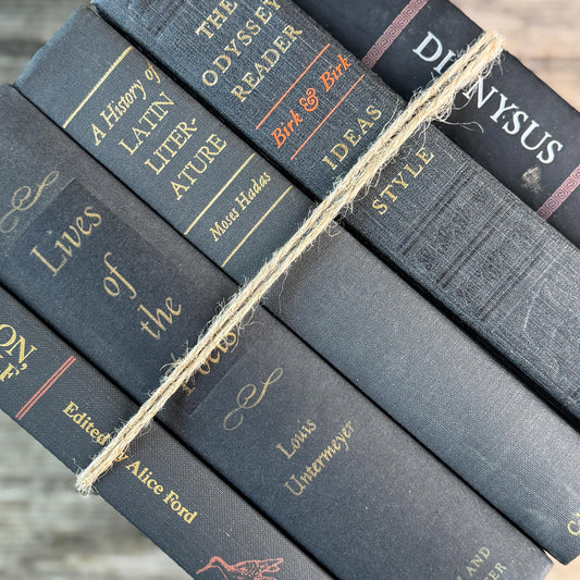 Vintage Charcoal & Black Mid Century Curated Book Bundle for Shelf Styling