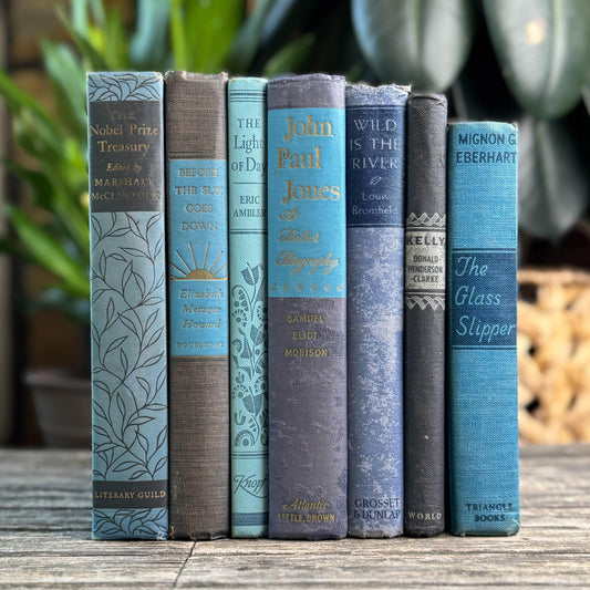 Navy Blue and Teal Blue Vintage Book Bundle For Shelf Styling