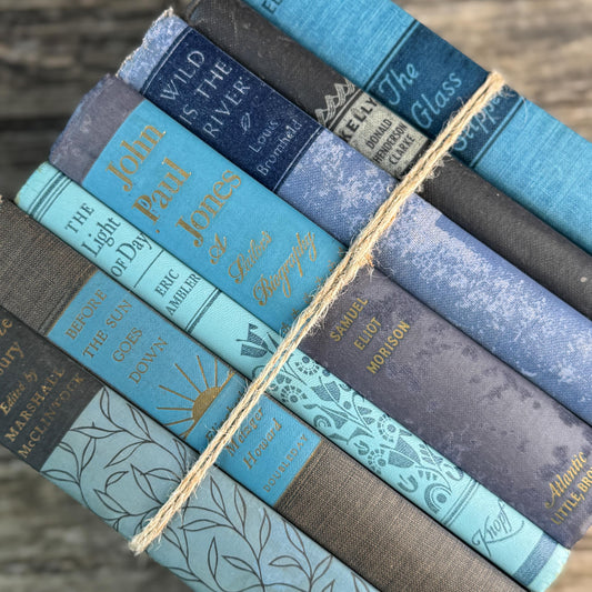 Navy Blue and Teal Blue Vintage Book Bundle For Shelf Styling