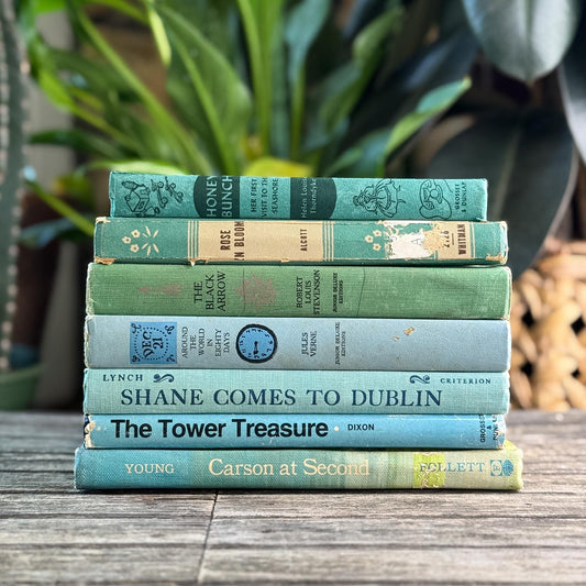 Vintage Green and Blue Classic Children's Books for Shelf Styling