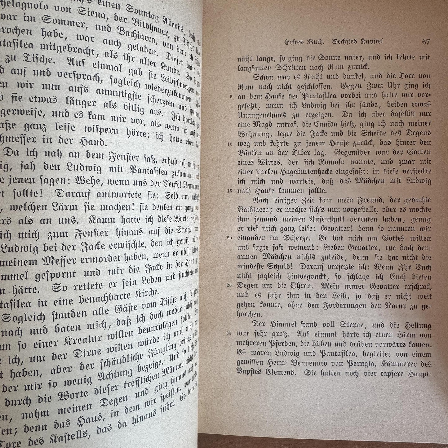 Goethe's Complete Works, 40 Volumes, 1902, German-Language