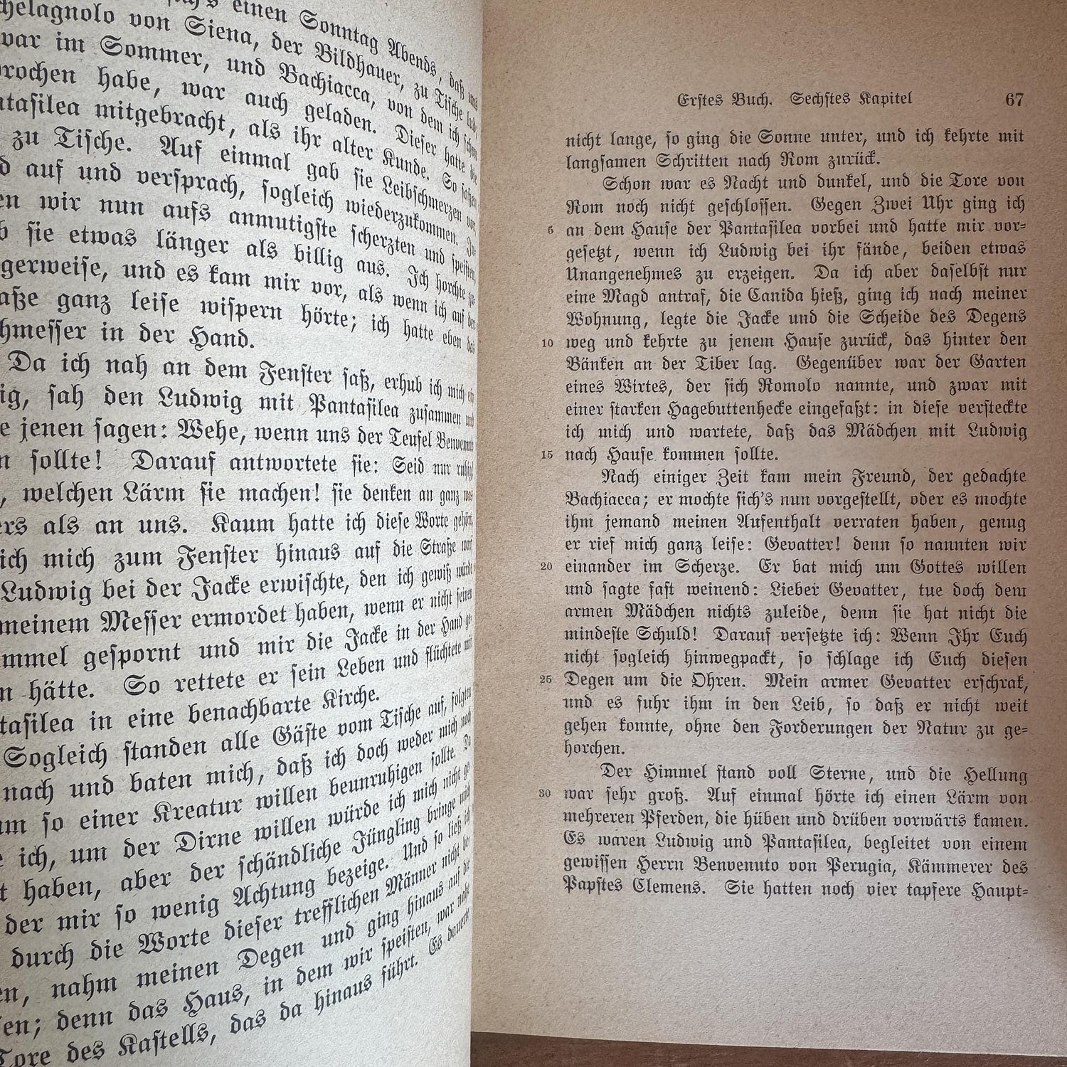 Goethe's Complete Works, 40 Volumes, 1902, German-Language