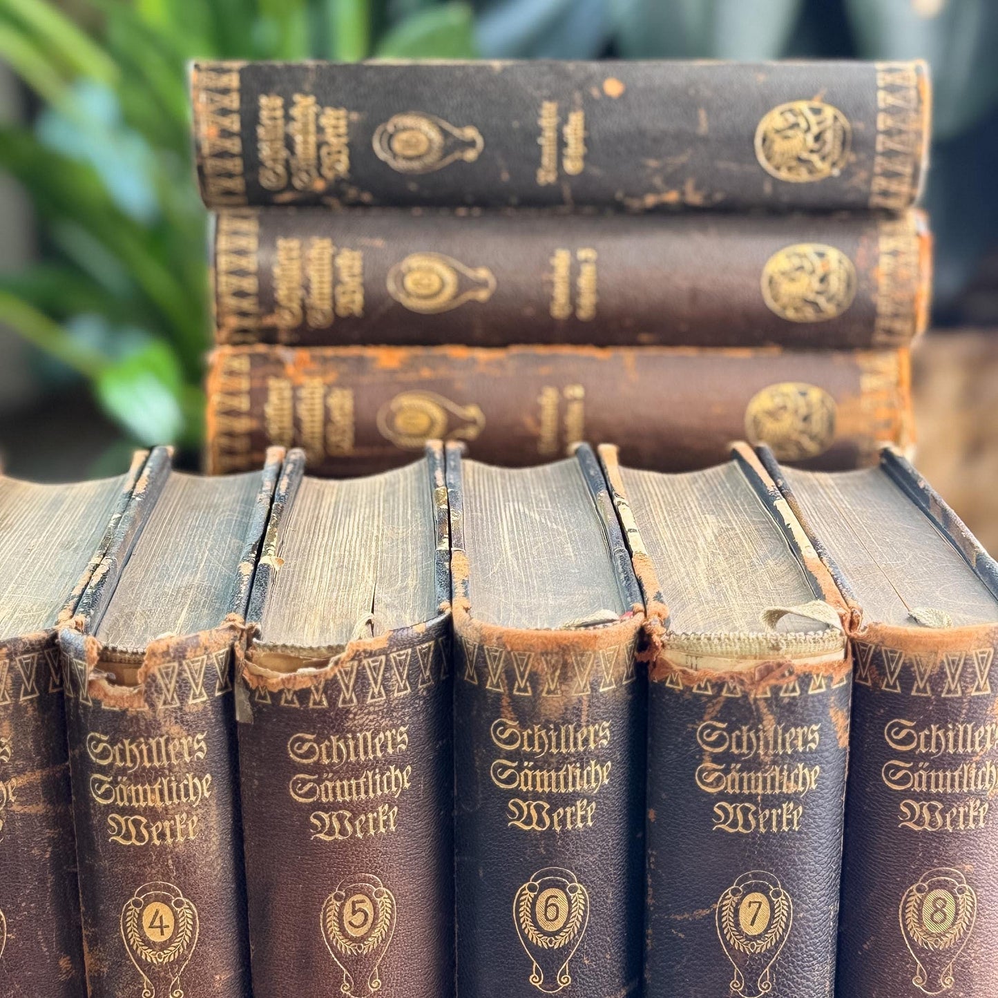 Leather and Marbled European Antique Books, Schiller's Complete Works, 16-Volume Set