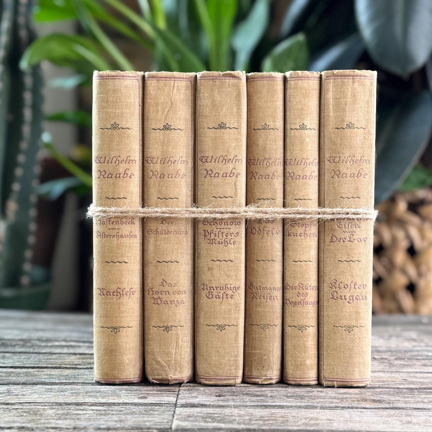 6-Volume Set of Antique German Gray Cloth Hardcovers