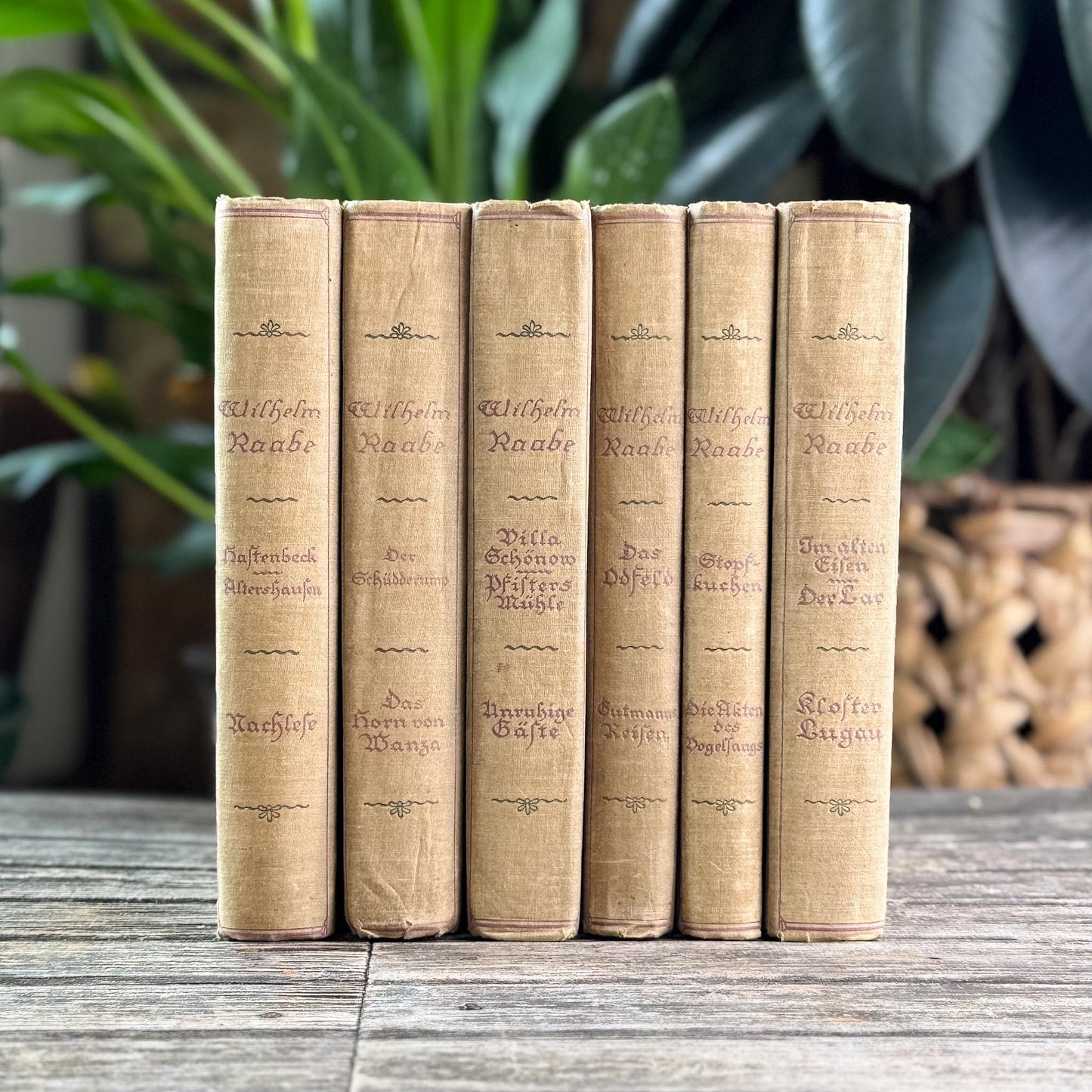 6-Volume Set of Antique German Gray Cloth Hardcovers
